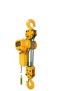 Harga pabrik langsung kerekan rantai listrik mengangkat rantai kerekan listrik 1 ton - Product Image 5