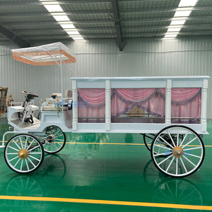 Élégante carrosse funéraire blanc personnalisé à vendre – Dernier modèle de carrosse à chevaux en métal et bois, style moderne - Product Image 6