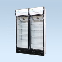 Vente directe d'usine, armoire de congélation verticale pour boissons gazeuses, réfrigérateur à porte vitrée pour cola