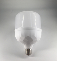 Vente en gros de lampes LED en forme de T, E14, E27, B22, 110V, 220V, 5W, 10W, 15W, 20W, 30W, 40W, 50W, 60W, fabriquées en Chine, à bas prix
