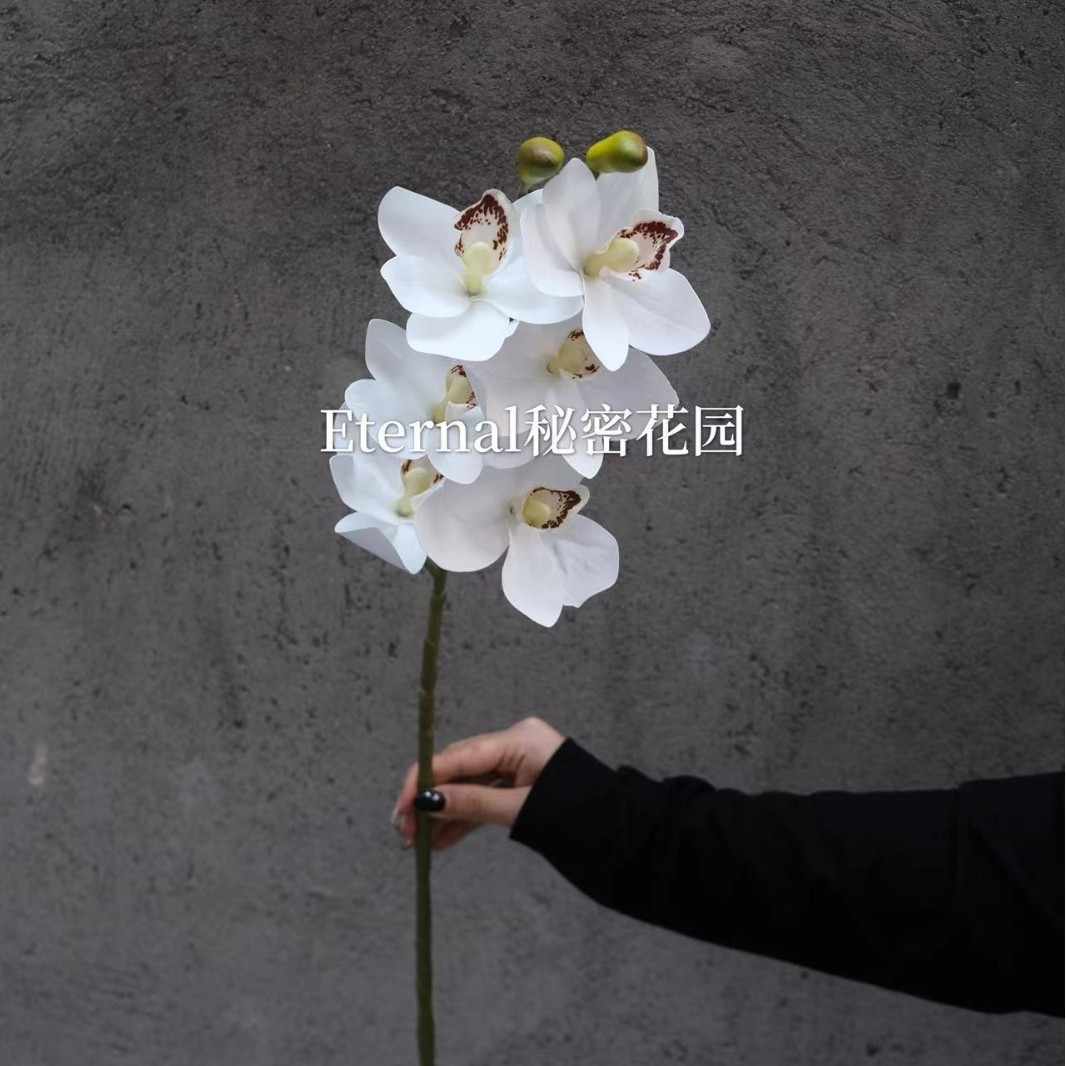Orquídea cymbidium blanca