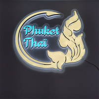 Panneau de Logo professionnel personnalisé, impression UV, lettres acryliques découpées au Laser, plexiglas 3D, signe de lettre de canal LED