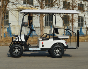 Véhicules utilitaires à batterie au lithium OEM, voiturettes de golf, électriques, quatre places, homologuées pour la route, buggy de chasse pour les stations balnéaires - Product Image 6