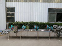Ligne de production entièrement automatique industrielle de fruits et légumes frais Fruits secs Mangue Raisin Lavage Séchage Machine