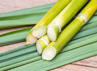 Bulk Sypply Frozen Sugarcane Sugar Cane Stalk and Juice Block High Quality Bag Packing SugarCane