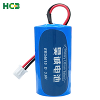 Batterie au lithium non rechargeable HCB ER34615 avec connecteur 3,6 V pour compteur d'eau intelligent, compteur de gaz, débitmètre