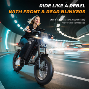 Varun จักรยานไฟฟ้าเสือภูเขา1000W จากคลังสินค้าของเราจักรยานไฟฟ้าจักรยานเสือภูเขาขนาด20 ''* 4.0ยางอ้วน45 km/h - Product Image 4