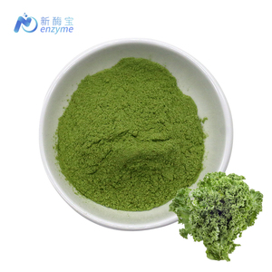 Novenzyme bubuk sayuran alami massal, bubuk <span class=keywords><strong>Kale</strong></span> organik - Product Image 1
