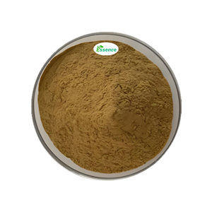 Polvo de Complejo de Hongos Naturales de Alta Calidad, Mezcla Funcional de Hongos en Polvo - Product Image 2