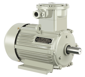 Moteur asynchrone triphasé antidéflagrant YBE4-132S2-2 7,5 kW 2 pôles, moteur triphasé antidéflagrant - Product Image 4