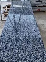 Pierre de mur extérieure en granit noir chinois G2102, finition polie, découpe sur mesure, durable, écologique, design moderne, utilisation extérieure, garantie 1 an