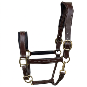 Cabestro de Cuero de Alta Calidad para Caballo, Modelo DI'LH'005, con Costuras Resistentes y Acabado Premium de Divine International Uttar Pradesh - Product Image 1