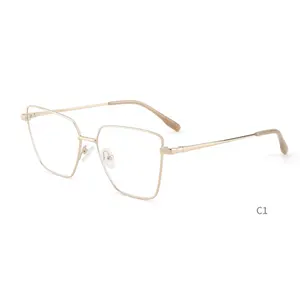 2024Ready Stock Mixed Classic Frames Eyeglasses Metal Optical Frame Vogue Classic Eyewear