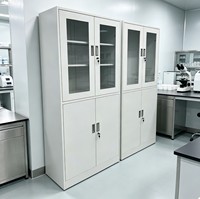 Armoire de rangement moderne en métal pour verrerie de laboratoire avec système de ventilation et serrure de sécurité pour usage scolaire et en entrepôt (Structure KD, Plate)