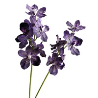 Anggrek Dendrobium Tekstur Sutra Melembapkan Seperti Sentuhan Asli, Bunga Sutra 3D Print untuk Dekorasi Ruang Tamu Rumah