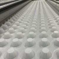 Planche de drainage à fossettes en plastique HDPE imperméable Shengfeng pour chantiers de construction, sous-sol, garage, toit