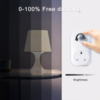 Bilihondim UK Interrupteur rotatif Triac avec variateur de puissance 200W 1 canal, Plug and Play, démarrage progressif, sans bruit, sans scintillement, protection contre la surchauffe