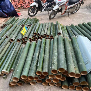 Tiras de Bambú Natural para Varillas de Cometas, Alta Resistencia y Elasticidad, Palos de Bambú Sin Nudos para Exportación Internacional - Product Image 1