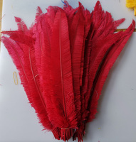 50cm Nandu plumes d'autruche pour fête maison mariage Vase décor bricolage artisanat Floral chapeau Fascinator chapellerie chapeaux accessoire
