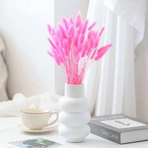 Nuevas Ideas de productos <span class=keywords><strong>2023</strong></span> jarrón de hierba de cola de <span class=keywords><strong>conejo</strong></span> seco arreglo de flores secas hierba de cola de <span class=keywords><strong>conejo</strong></span> para decoración del hogar - Product Image 4