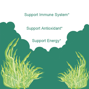 Comprimés de spiruline et de chlorelle biologiques à vente chaude OEM/ODM, 3000 mg, 360 unités, soutien immunitaire, riches en protéines végétales et en chlorophylle - Product Image 3