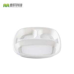 <strong>Biodegradable</strong> <strong>Disposable</strong> Box Ecopack Bio Degradable Packaging Sugarcane Tableware <strong>Tray</strong> Bagasse Food Container - Product Image 2