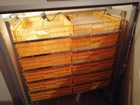 Nouvel incubateur intelligent entièrement automatique de grande capacité en alliage d'aluminium 220V pour œufs de poulet, de canard, d'oie et petits poulets domestiques