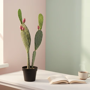 Cactus artificiel de style <span class=keywords><strong>Opuntia</strong></span> avec des boutons roses à double tonalité dans un <span class=keywords><strong>pot</strong></span> noir, fausse plante du désert haute pour la maison et le bureau - Product Image 2