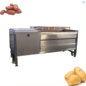 Máquina de lavado de verduras y frutas de acero inoxidable 304, 220/380V, para limpieza de raíz de loto, yam, jengibre, yuca y zanahoria - Product Image 3