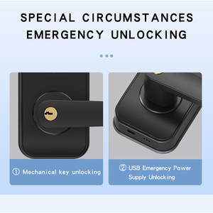 Locstar tuya màn hình cảm ứng bàn phím mã key vân tay kỹ thuật số thông minh khóa cửa từ <span class=keywords><strong>Alibaba</strong></span> hot đầu tiên nhà sản xuất - Product Image 4