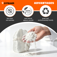 GYPSUMER GC05 Yeso para Manualidades, Extra Blanquez, Extra Dureza, Sin Burbujas, Sin Impurezas, para Modelado 3D