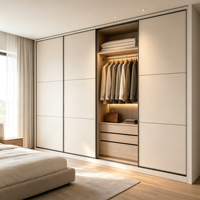 Armoire coulissante moderne sur mesure avec grand rangement, penderie pleine hauteur avec éclairage LED pour salon
