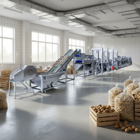 YZ Automatische productielijn voor aardappelchips en groente-/fruitchips met friteuse, capaciteit 100-200 kg/uur, snackmachine