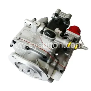 Parti del motore Diesel del macchinario NT855 PT pompa del carburante 3165798 3021966 3165355 PTG-VS