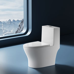 Inodoro de Cerámica Blanca de Una Pieza, Moderno y Ecológico, de Idealex, con Garantía de 3 Años, Forma Ovalada, Instalación <span class=keywords><strong>en</strong></span> el Suelo - Product Image 1