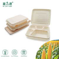 Boîte à lunch écologique biodégradable en amidon de maïs pour les restaurants à emporter, les pique-niques, les fêtes et la préparation des repas