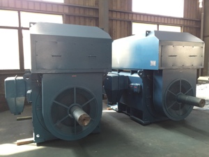 Motor de Inducción Trifásico de Anillo 300kw 350kw 400kw 450kw 500kw 600kw 5kw 100kw 125kw 150kw 180kw 200kw 250kw 280kw 300kw Y802-4 - Product Image 3