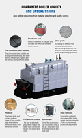Chaudière à vapeur industrielle horizontale à circulation naturelle basse pression, à tubes de chaleur, à biomasse, à circulation de chaîne, pour eau et vapeur, 500 kg, 1t, 2t, 4t, 5t, 8t
