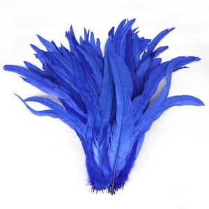 12-14 "Tẩy Trắng Và Nhuộm Dài Đầy Màu Sắc Giá Rẻ Bán Carnival Dậu Gà Trống Đuôi Lông 30-35CM Để Trang Trí Quần Áo - Product Image 6