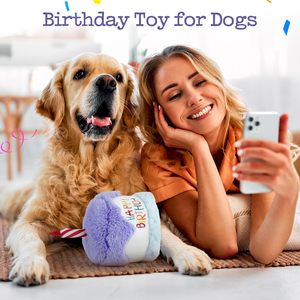 NIBAO <strong>Dog</strong> Happy Birthday Cake Toy with Crinkle, Stuffed Plush Puppy <strong>Present</strong> for Birthday Party, <strong>Dog</strong> Toy for Small Medium - Product Image 3