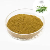 Poudre d'extrait naturel de feuilles de romarin, phénols totaux, acide carnosique, antioxydant de qualité alimentaire, vente en gros en vrac