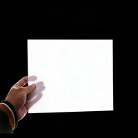 Plaque diffuseur de lumière LED translucide PS 1220*2440mm, film lumineux givré double face, plaque de diffusion de lumière blanc laiteux pour plafond