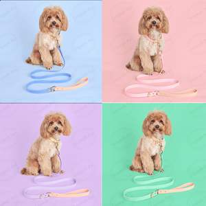 2024 alla moda in PVC Pet collare guinzaglio impermeabile indistruttibile - Product Image 6