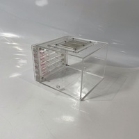 YAGELI Boîte d'élevage pyramidale en acrylique transparent personnalisée pour fourmis, nid vivant pratique, service professionnel, présentation uniquement