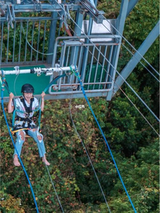 Balançoire élastique <span class=keywords><strong>du</strong></span> <span class=keywords><strong>diable</strong></span> - Product Image 2