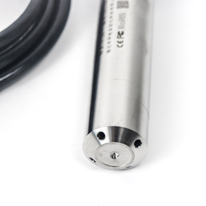 Capteur de niveau d'eau submersible, sonde en acier inoxydable 304, dispositif de mesure du niveau d'eau 4-20 mA - Product Image 5