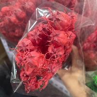 Großhandel für Konservierte Nigella-Blumen, Natürliche Getrocknete Blumen, Damascena Nigella Gras für Hochzeits- und Valentinstagsdekorationen