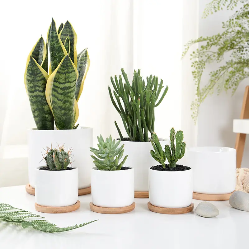 Vaso de plantas para decoração interna, jardim decorativo de cerâmica redonda