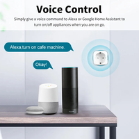 Prise intelligente Ewelink EU avec minuterie, télécommande et mise à la terre standard