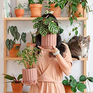 Pots de fleurs en argile, jardinière moyenne, récipients de fleurs, Pots décoratifs modernes en terre brute - Product Image 4